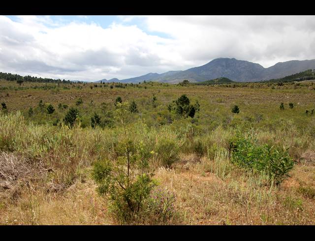 69HA FARM FOR SALE IN BOT RIVER